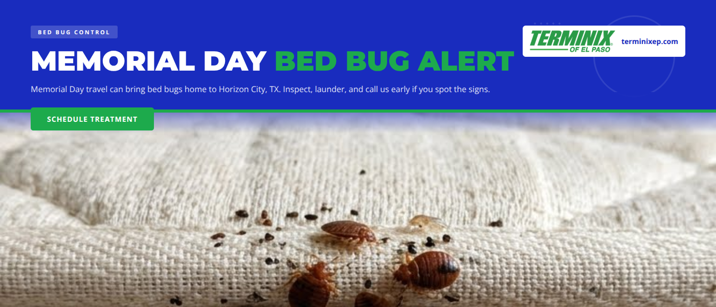 Bed Bug Risks After Memorial Day Travel in Horizon City, TX