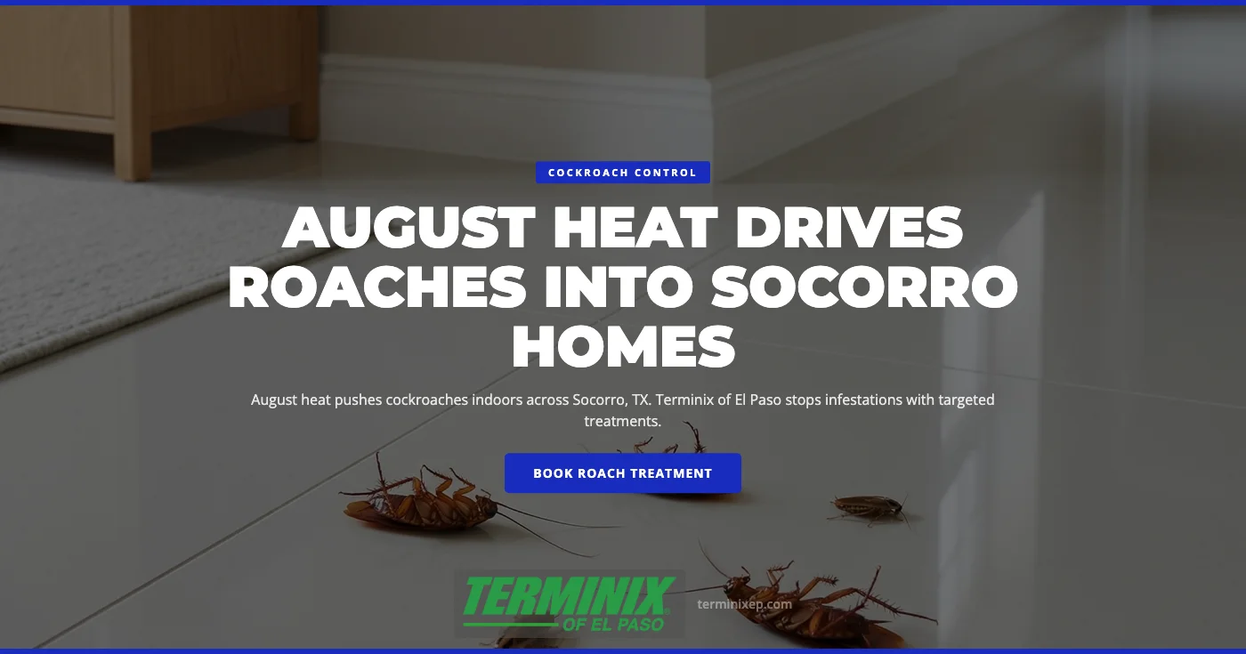 Why August Heat Sends Cockroaches Indoors in Socorro, TX