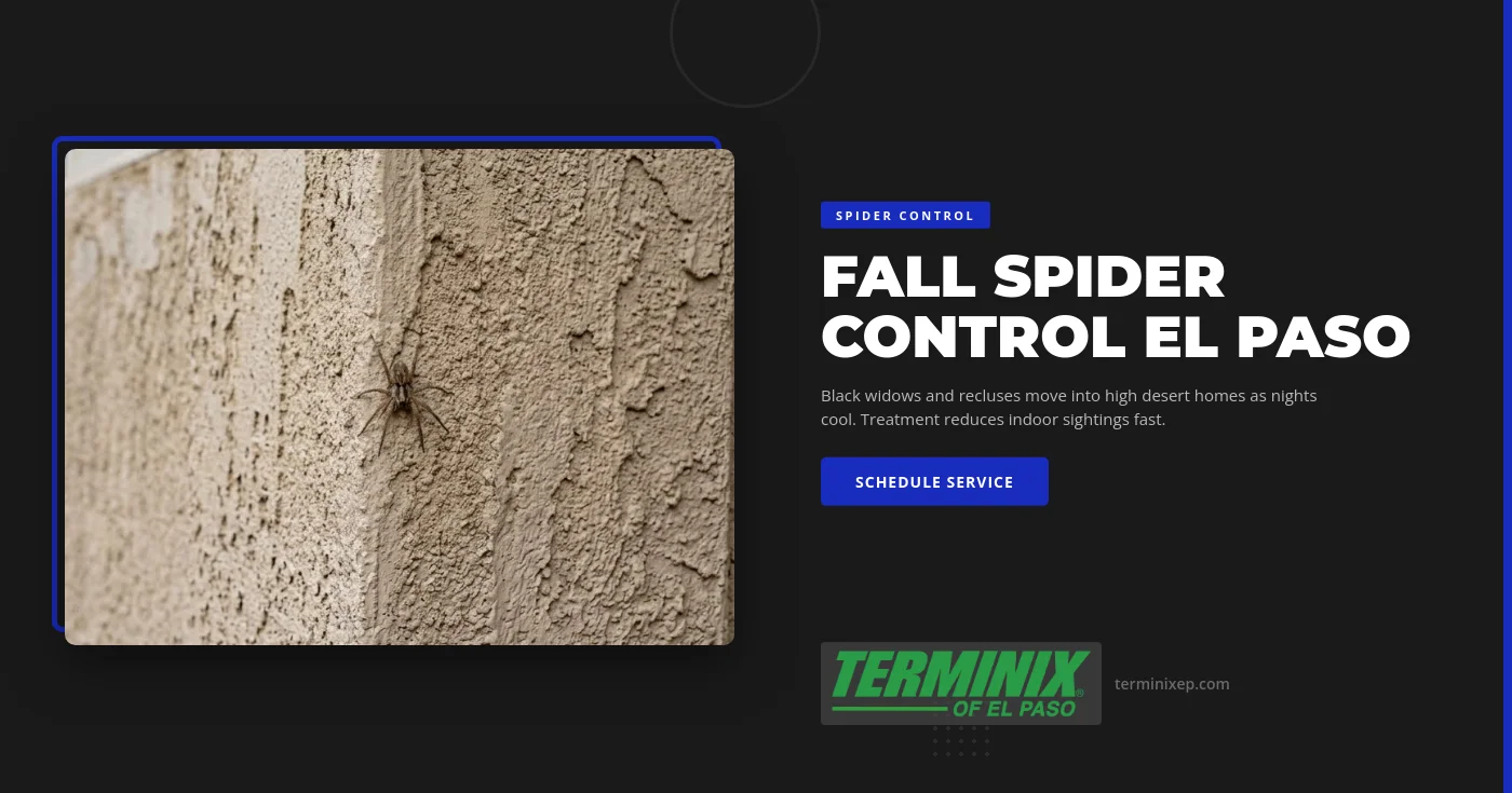 Terminix El Paso technician inspecting a stucco garage corner and exterior wall for black widow webs and recluse spider harborage at an El Paso, TX home during the fall spider pressure window