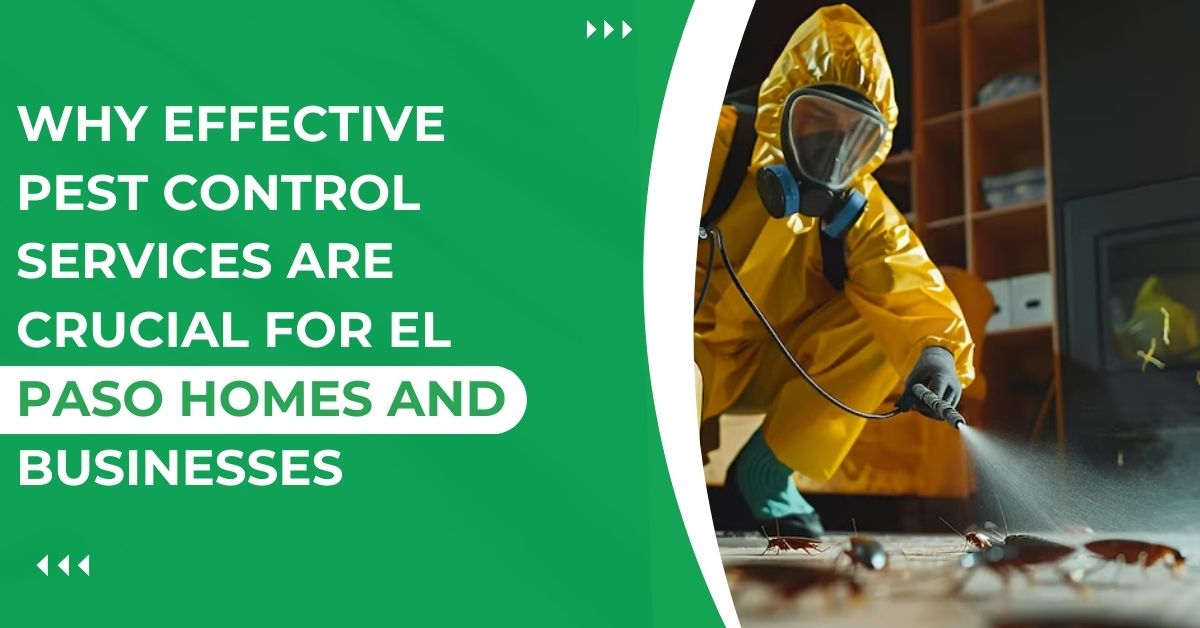Business Pest Management & Home Pest Protection in El Paso
