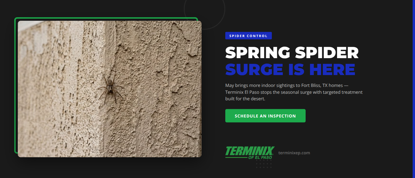 Spider control in Fort Bliss TX - Terminix El Paso technician inspecting a desert home foundation and garage entry points for spring spider activity
